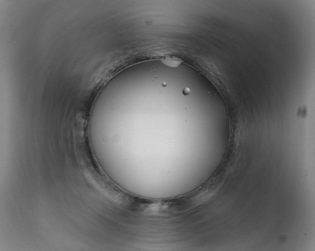 X0000111620366200907311208