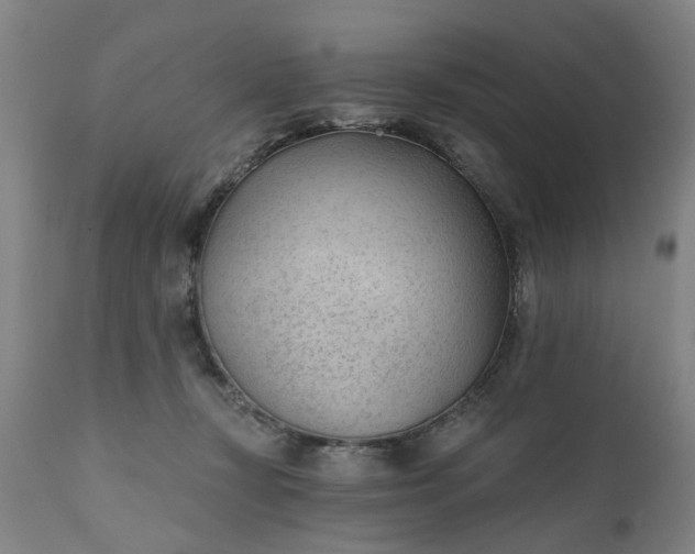 X0000111620367200907311208