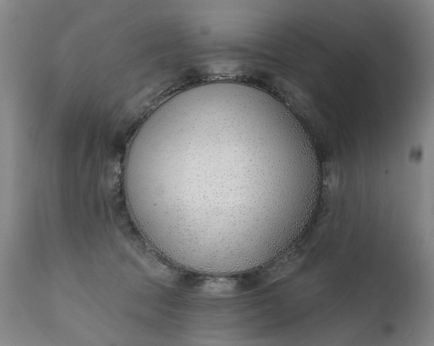 X0000111620369200907311208