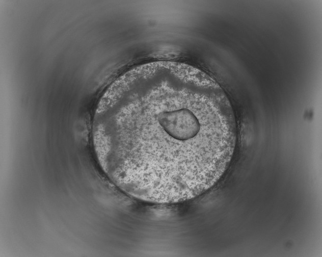 X0000111620370200907311208