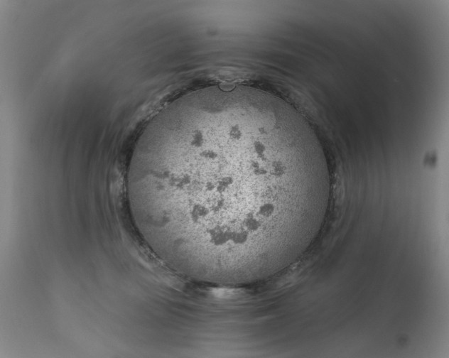 X0000111620371200907311208