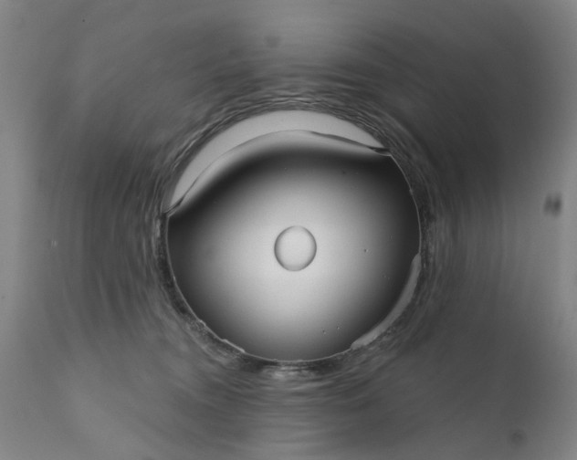 X0000111620372200907311208