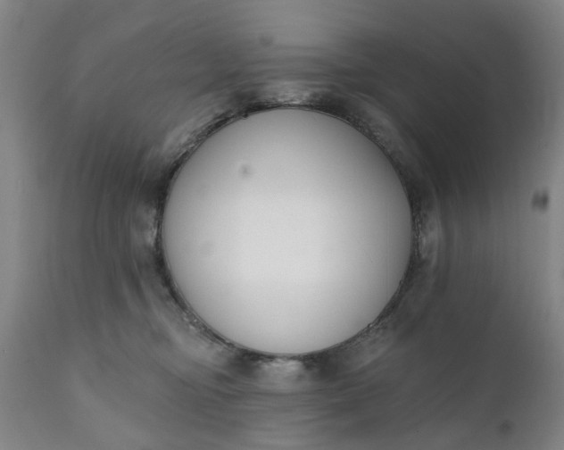 X0000111620374200907311208