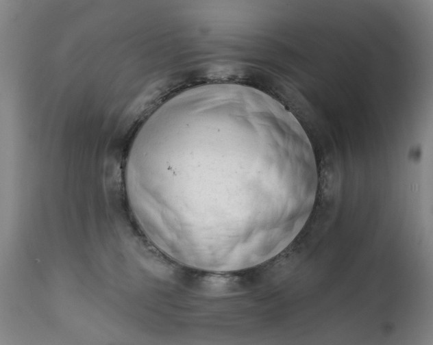 X0000111620375200907311208