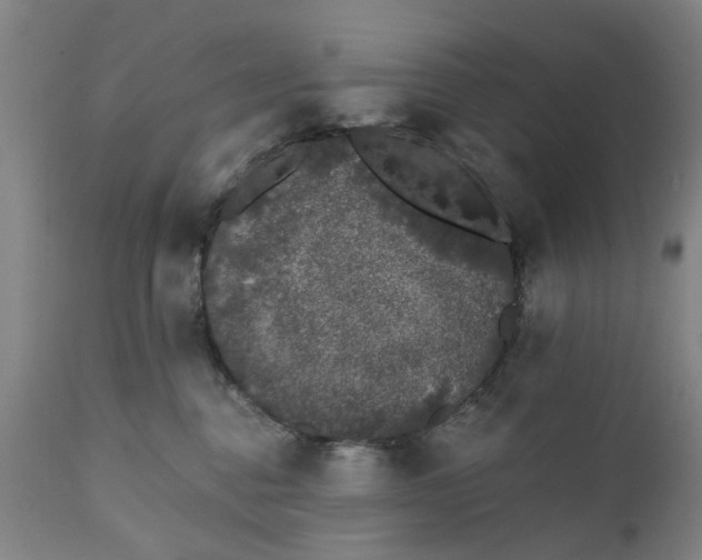 X0000111620376200907311209