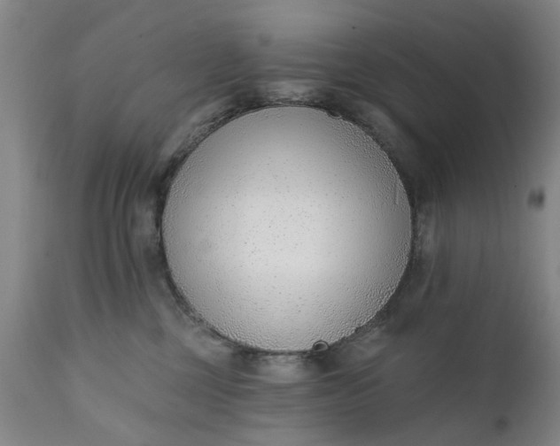 X0000111620377200907311209