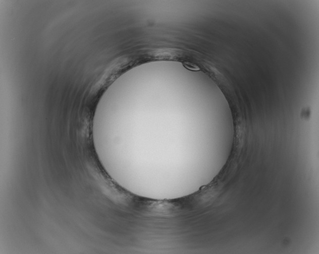 X0000111620379200907311209