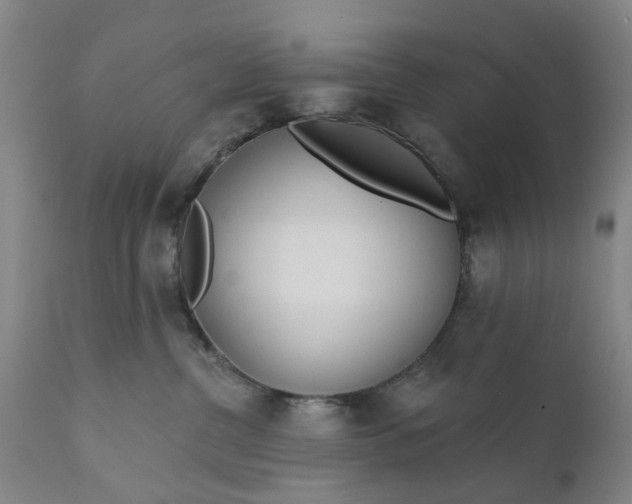 X0000111620380200907311209