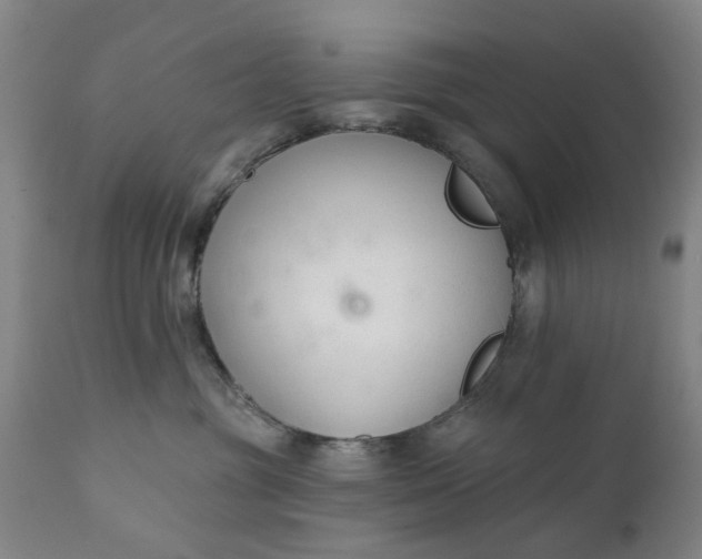 X0000111620381200907311209