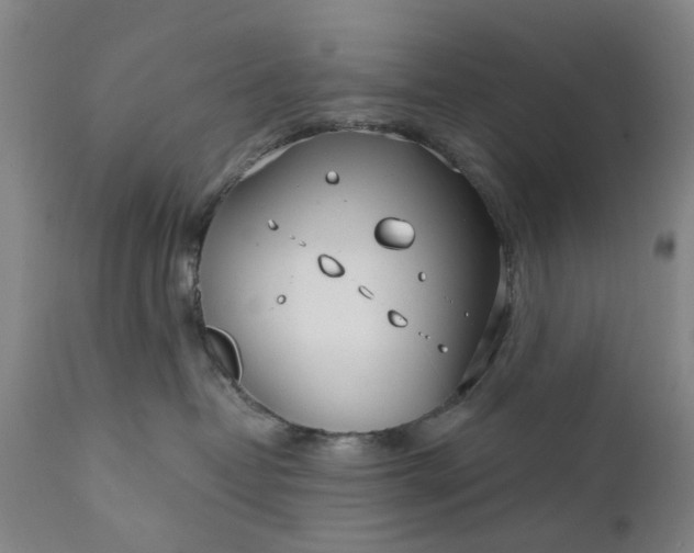 X0000111620382200907311209