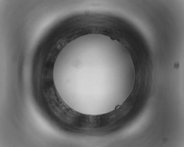 X0000111620383200907311209