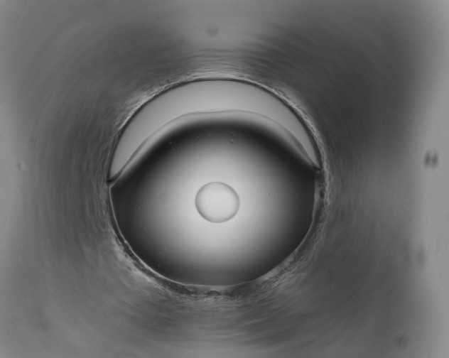 X0000111620385200907311208