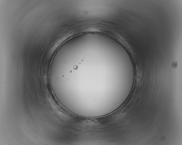 X0000111620386200907311208