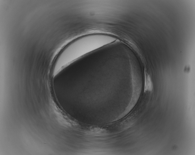 X0000111620387200907311208