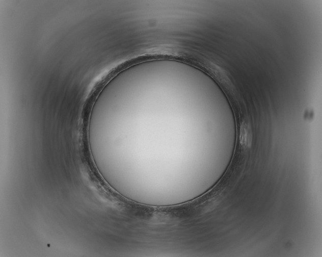 X0000111620388200907311208