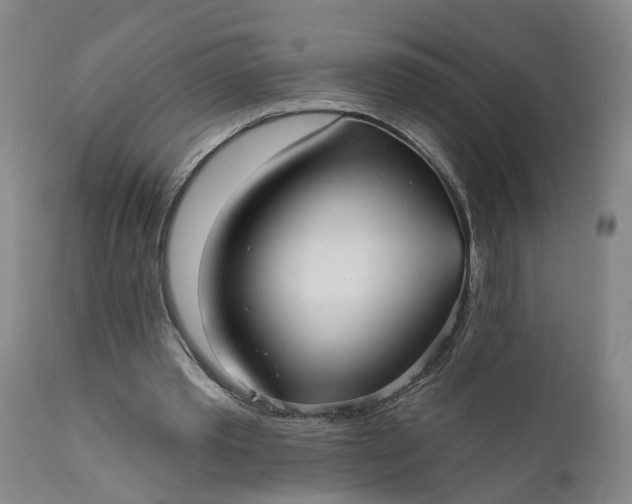 X0000111620389200907311208