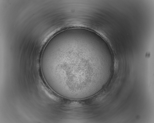 X0000111620390200907311208