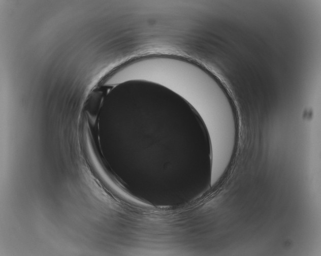 X0000111620391200907311208