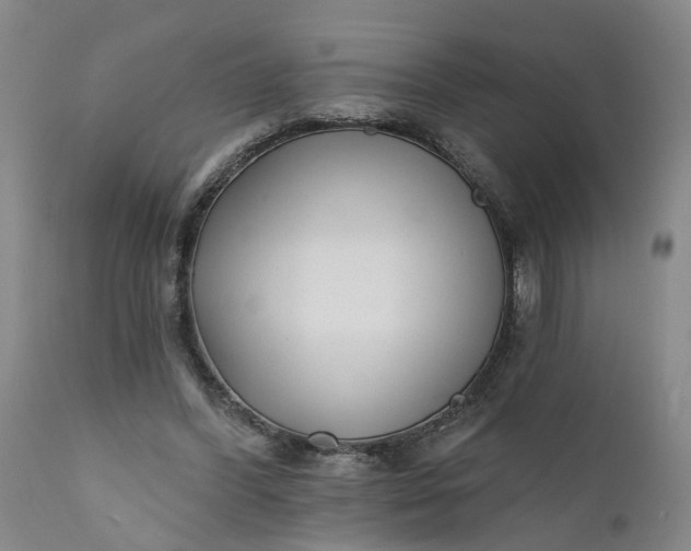 X0000111620396200907311208