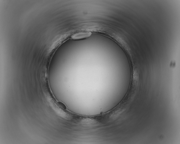 X0000111620397200907311208