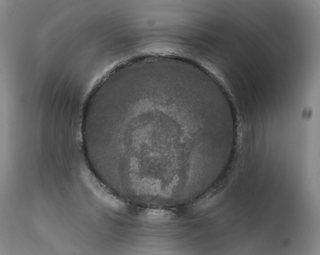 X0000111620399200907311208