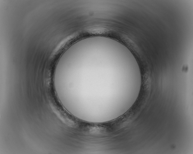 X0000111620400200907311208