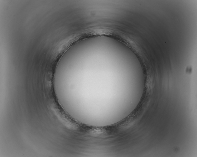 X0000111620402200907311208