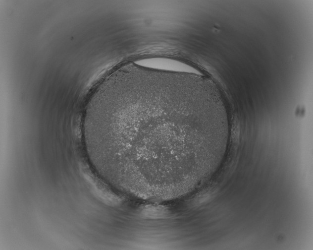 X0000111620403200907311208