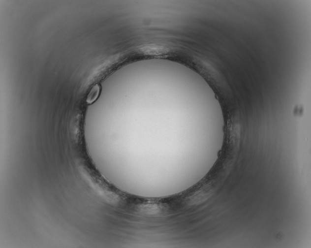 X0000111620404200907311208