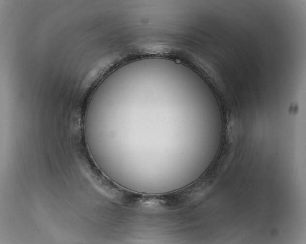 X0000111620407200907311208