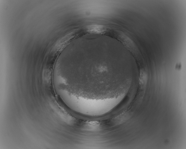 X0000111620409200907311208