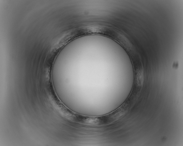 X0000111620410200907311208