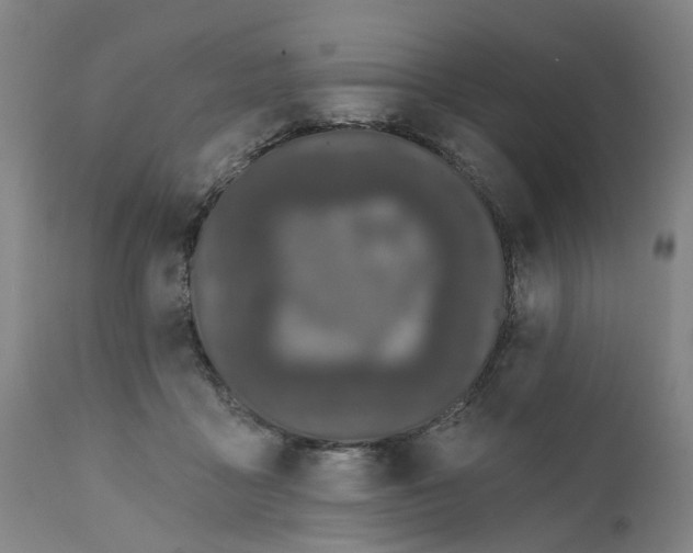 X0000111620411200907311208