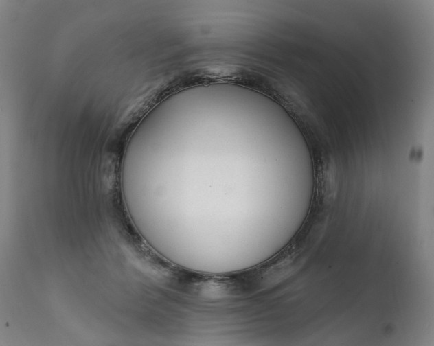 X0000111620412200907311208