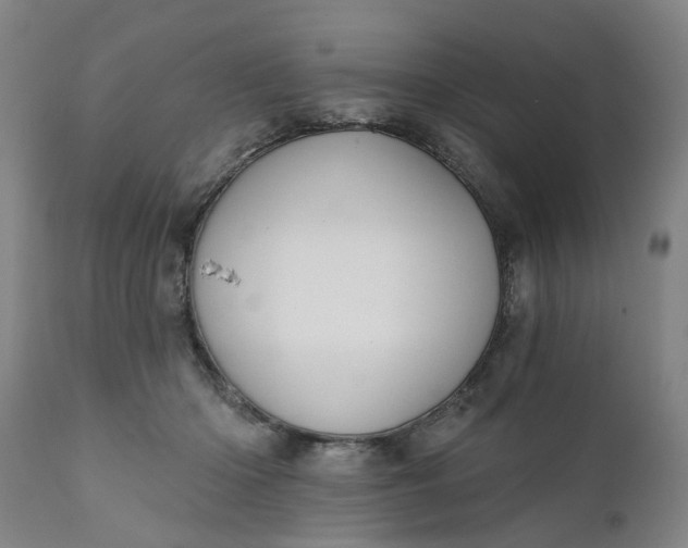 X0000111620414200907311207