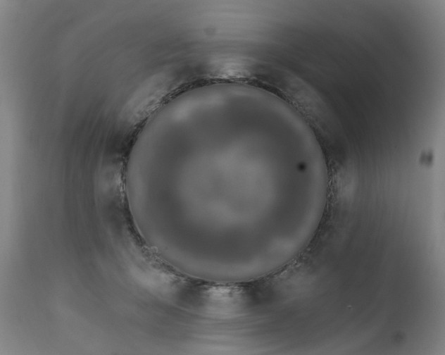 X0000111620415200907311207