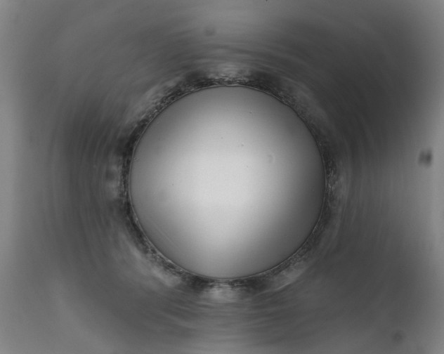 X0000111620416200907311207