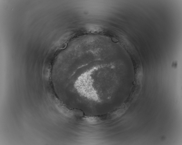 X0000111620417200907311207