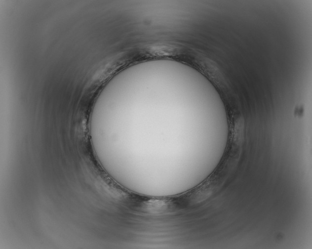 X0000111620418200907311207