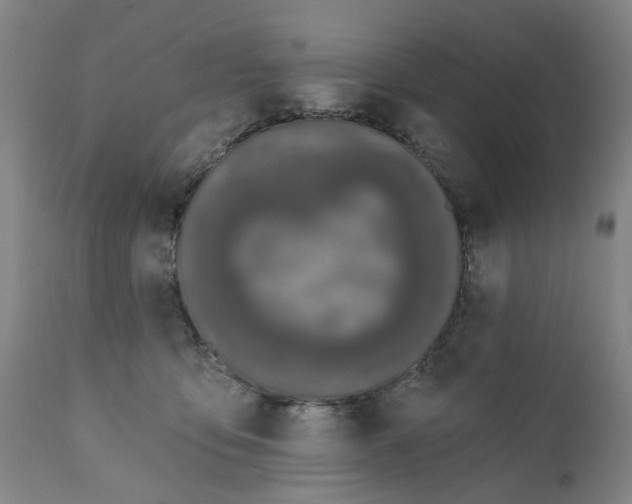 X0000111620419200907311207