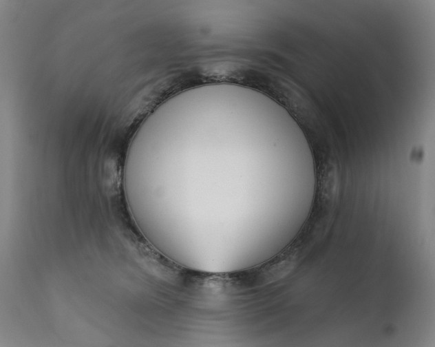 X0000111620420200907311207