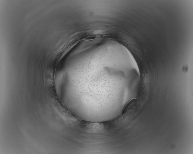 X0000111620421200907311207