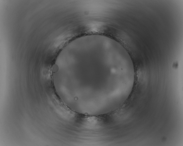 X0000111620423200907311207