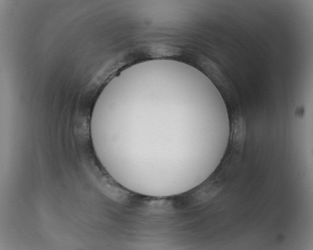 X0000111620426200907311207