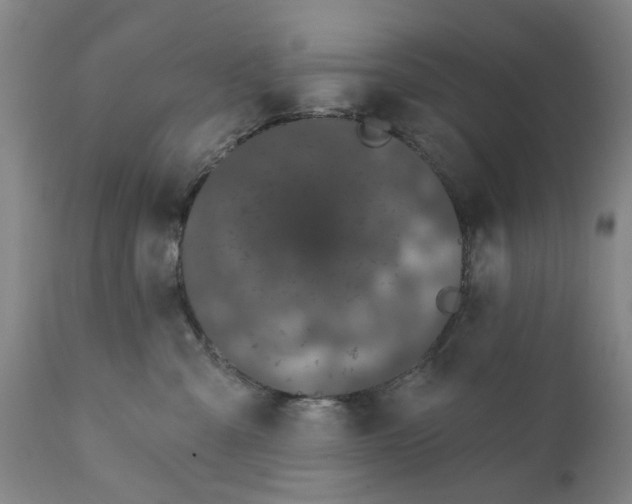 X0000111620427200907311207