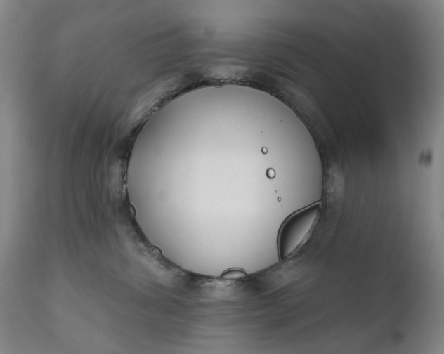 X0000111620428200907311207