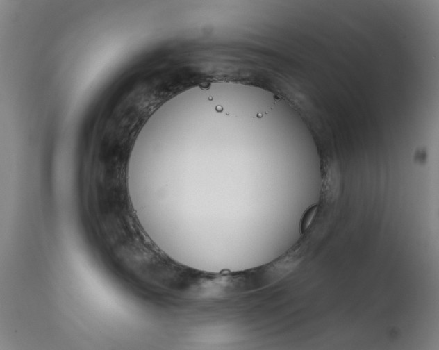 X0000111620430200907311207