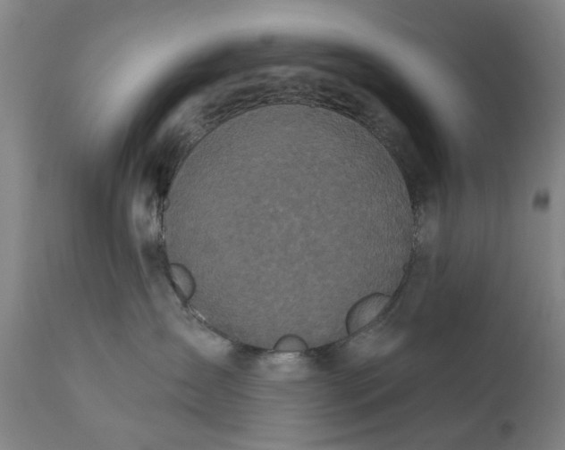 X0000111620431200907311207