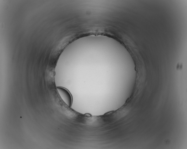 X0000111620432200907311207