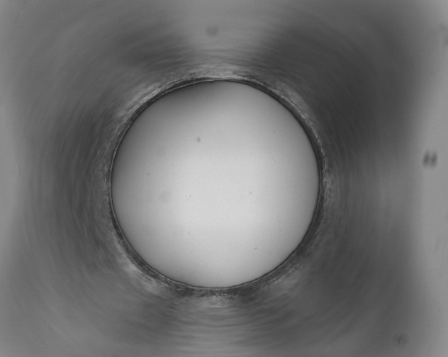 X0000111620433200907311206